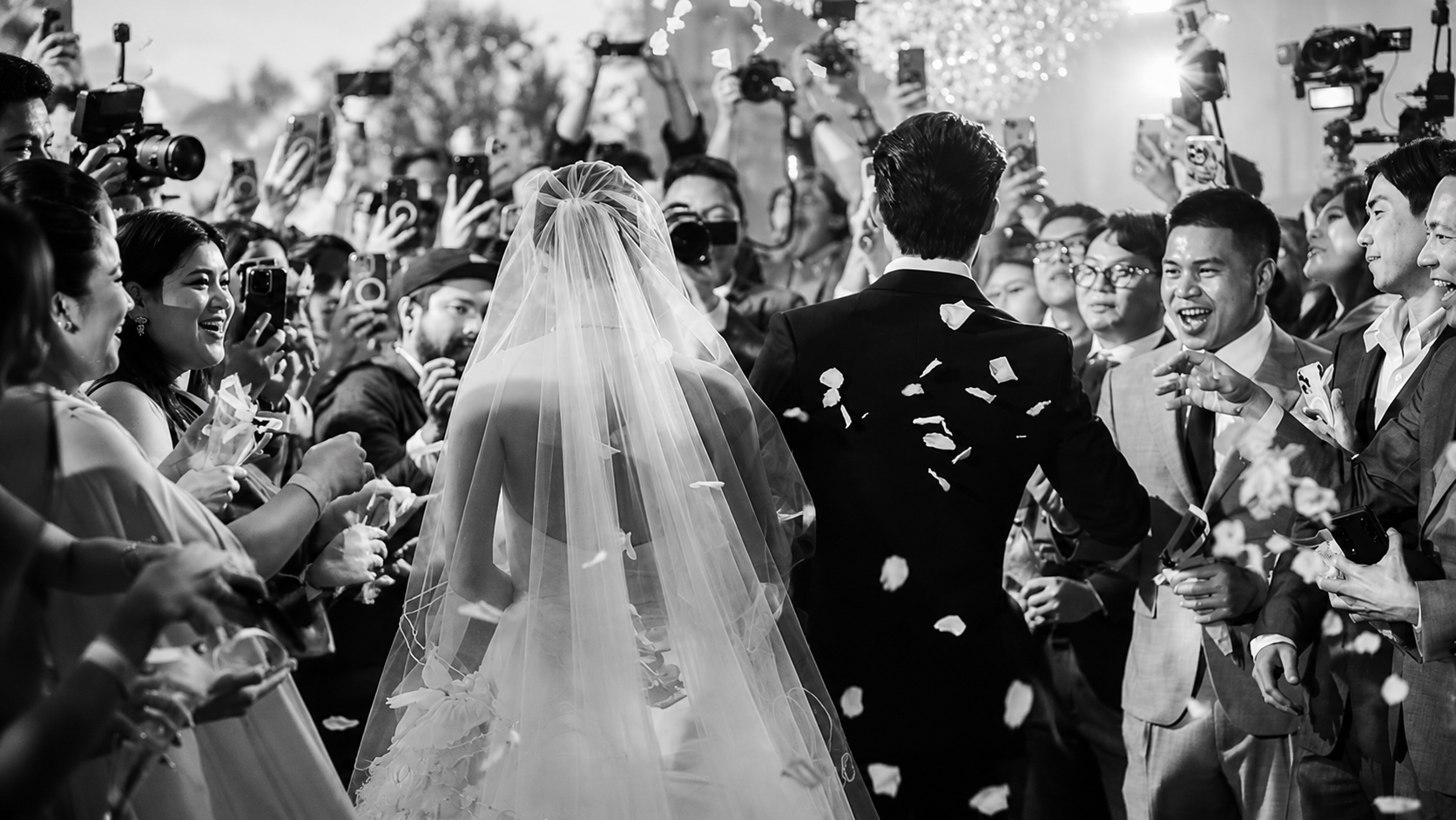 Celebratory wedding confetti procession — gallery on the big screen