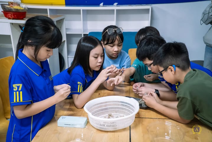 Album: 20250724 - Khoá hè 2025 | Workshop Pizza Kimbap — Trường Việt Anh